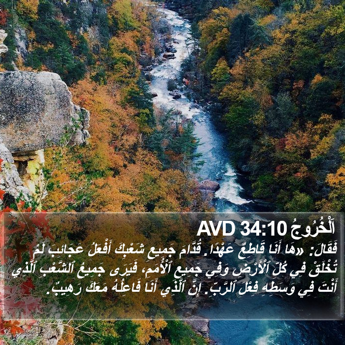 اَلْخُرُوجُ 34:10 AVD Bible Study