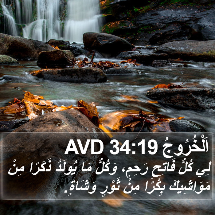 اَلْخُرُوجُ 34:19 AVD Bible Study