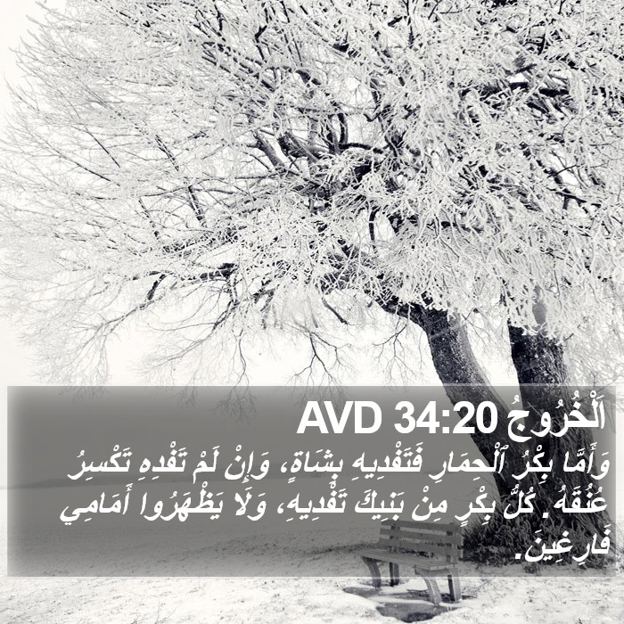 اَلْخُرُوجُ 34:20 AVD Bible Study
