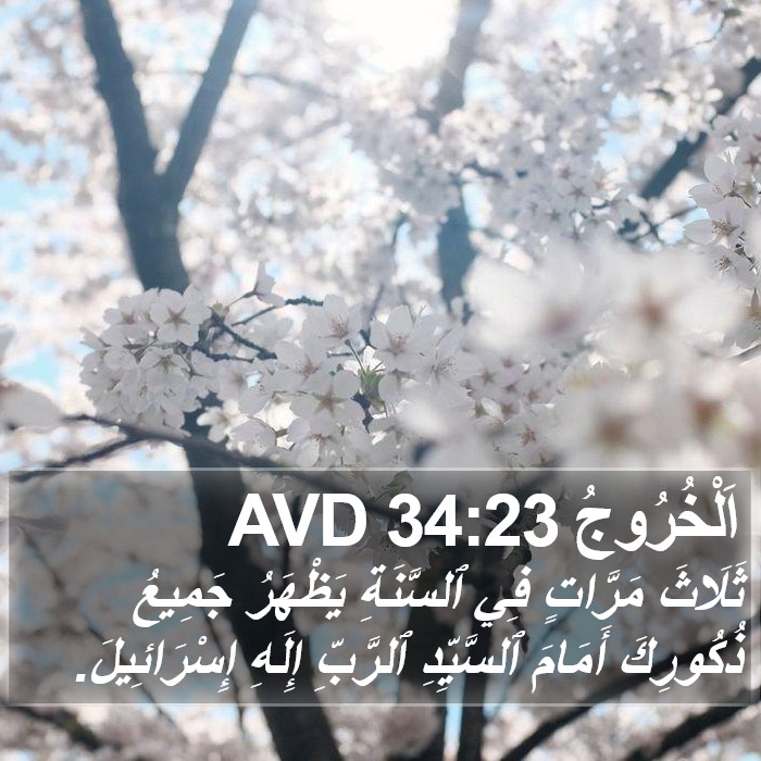 اَلْخُرُوجُ 34:23 AVD Bible Study