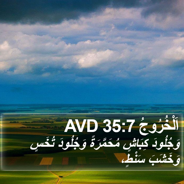اَلْخُرُوجُ 35:7 AVD Bible Study
