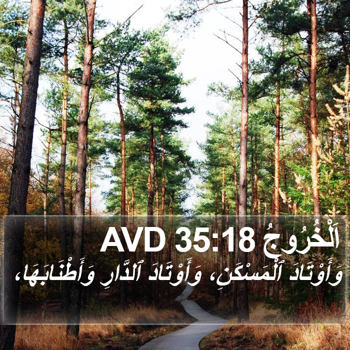 اَلْخُرُوجُ 35:18 AVD Bible Study