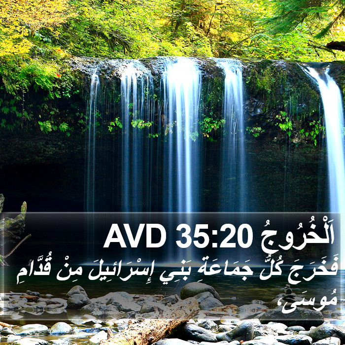 اَلْخُرُوجُ 35:20 AVD Bible Study