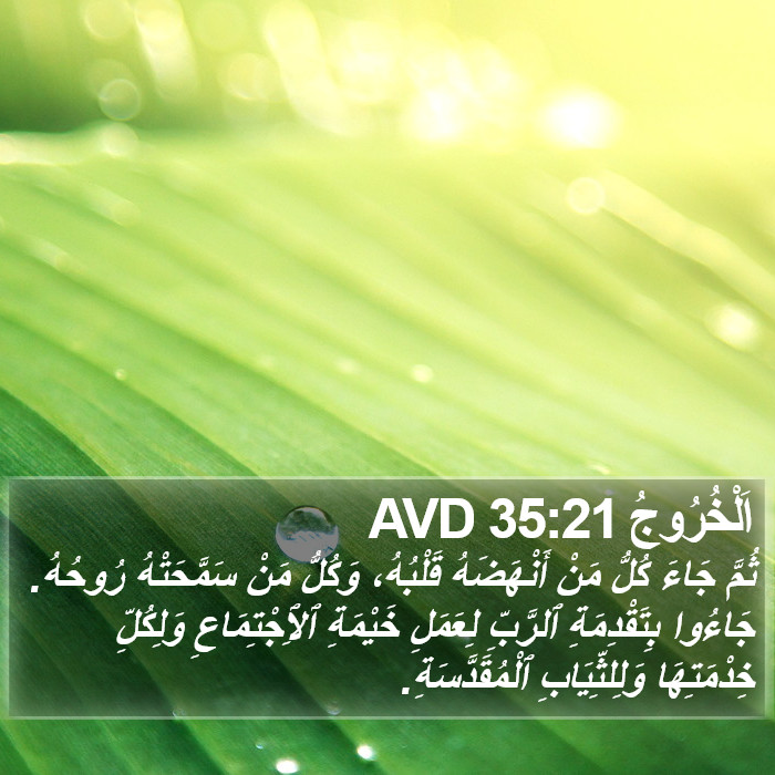 اَلْخُرُوجُ 35:21 AVD Bible Study