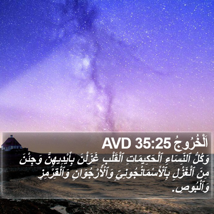 اَلْخُرُوجُ 35:25 AVD Bible Study