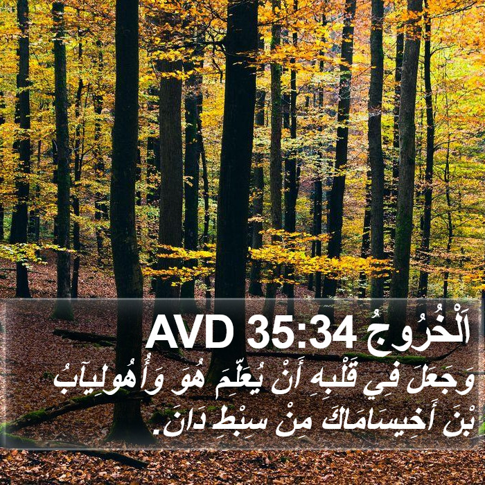 اَلْخُرُوجُ 35:34 AVD Bible Study