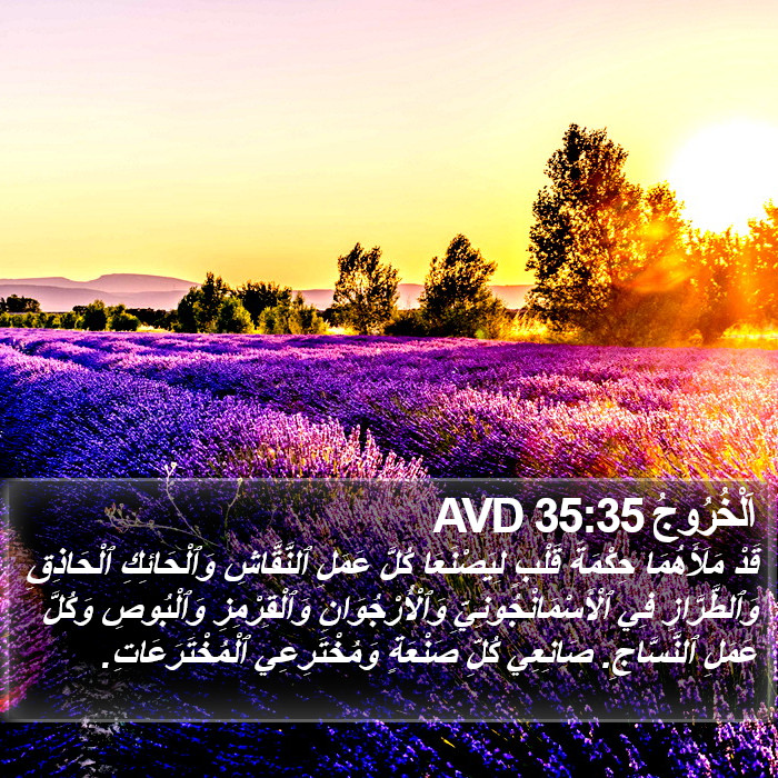 اَلْخُرُوجُ 35:35 AVD Bible Study