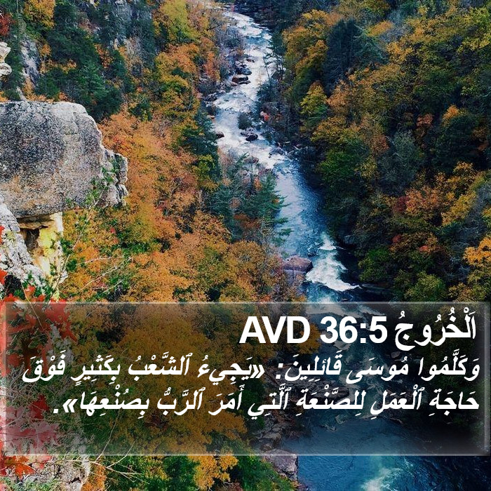 اَلْخُرُوجُ 36:5 AVD Bible Study