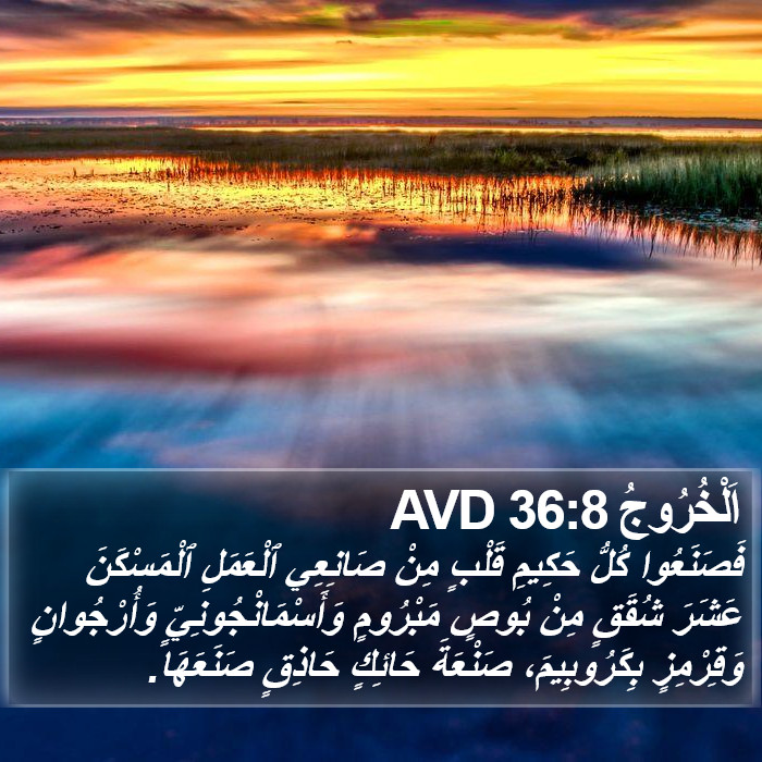 اَلْخُرُوجُ 36:8 AVD Bible Study