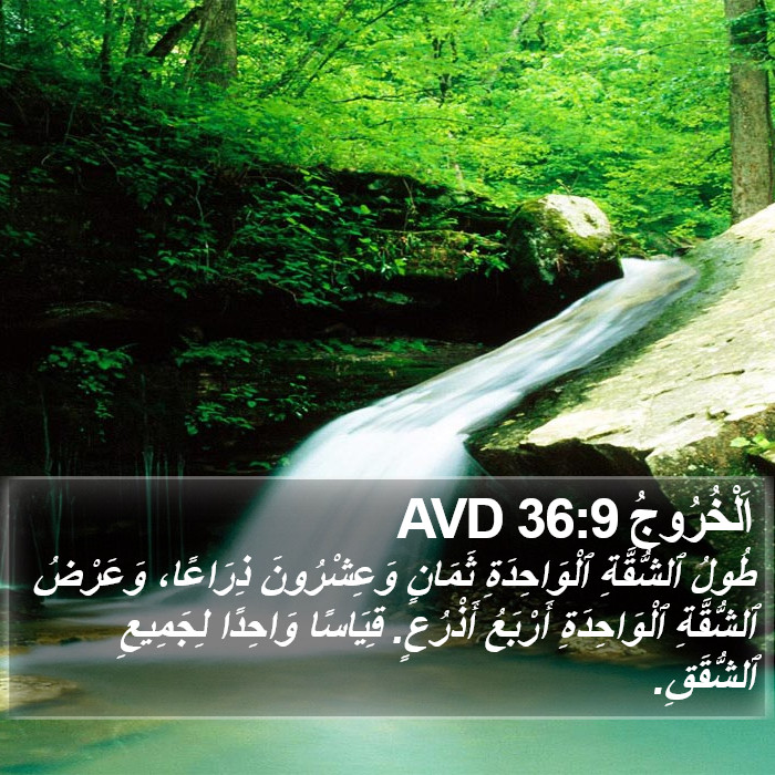 اَلْخُرُوجُ 36:9 AVD Bible Study