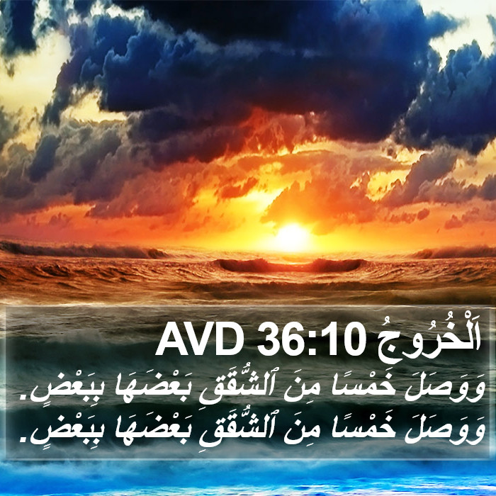 اَلْخُرُوجُ 36:10 AVD Bible Study