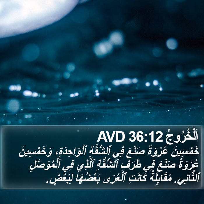 اَلْخُرُوجُ 36:12 AVD Bible Study