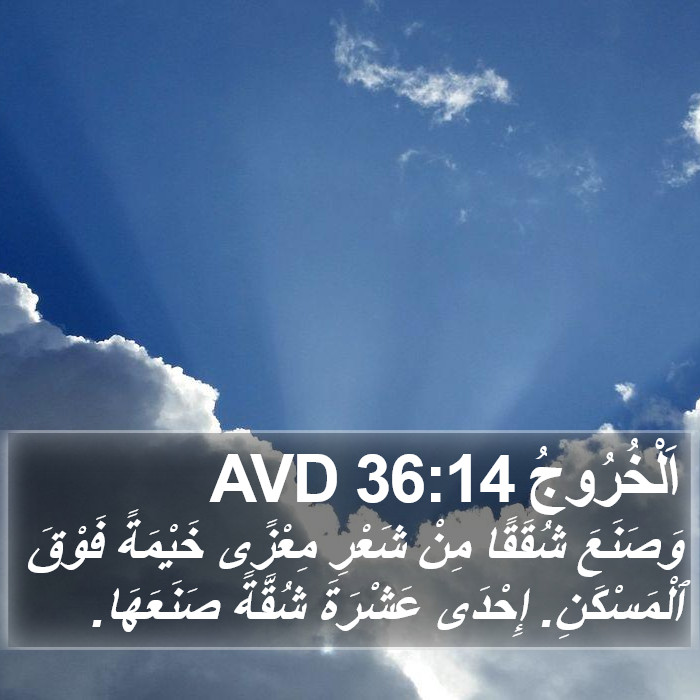اَلْخُرُوجُ 36:14 AVD Bible Study