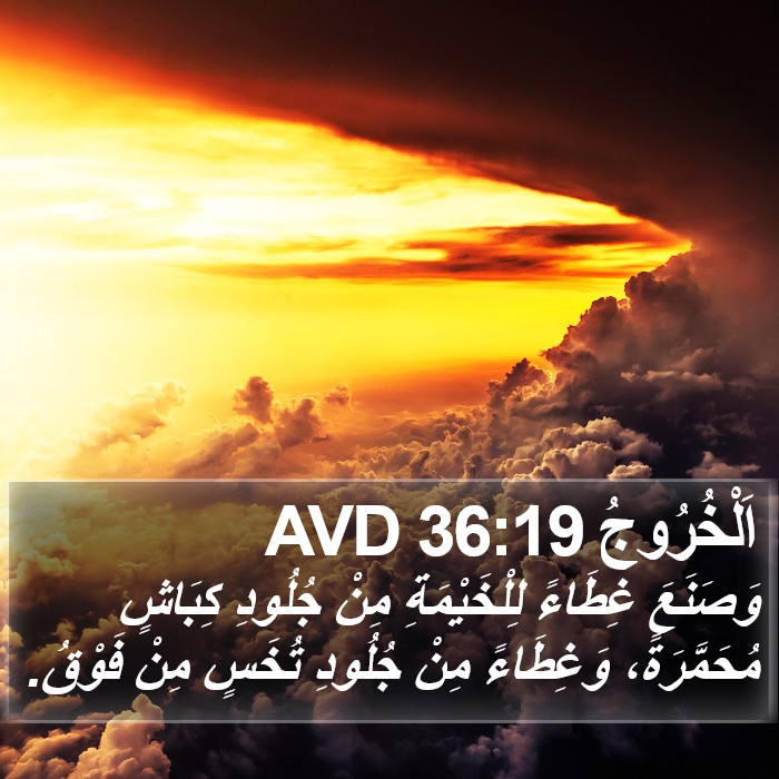 اَلْخُرُوجُ 36:19 AVD Bible Study