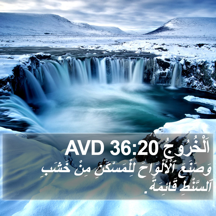 اَلْخُرُوجُ 36:20 AVD Bible Study
