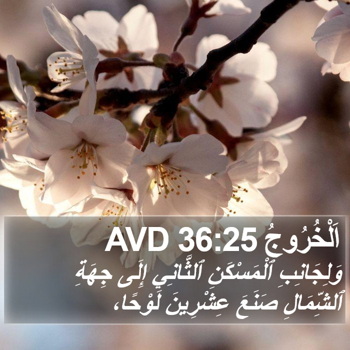 اَلْخُرُوجُ 36:25 AVD Bible Study