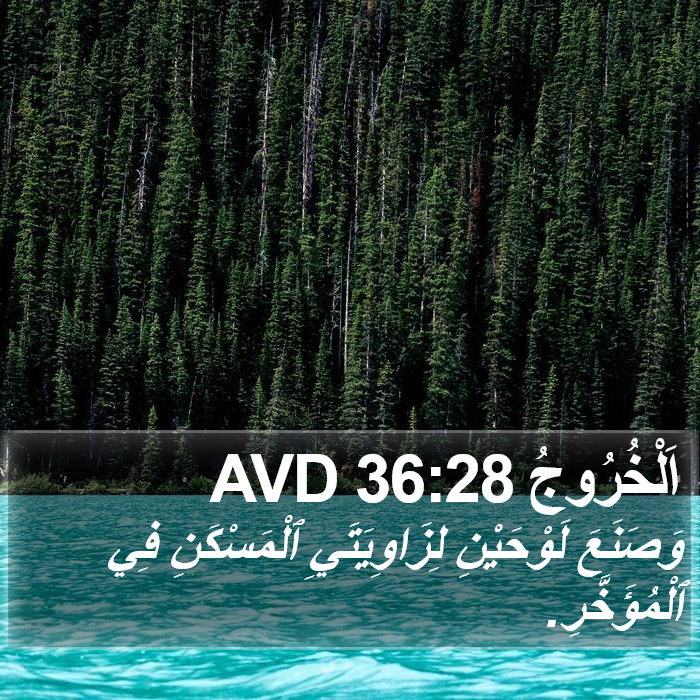 اَلْخُرُوجُ 36:28 AVD Bible Study