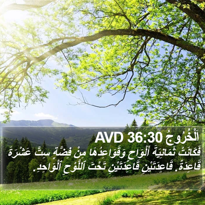 اَلْخُرُوجُ 36:30 AVD Bible Study