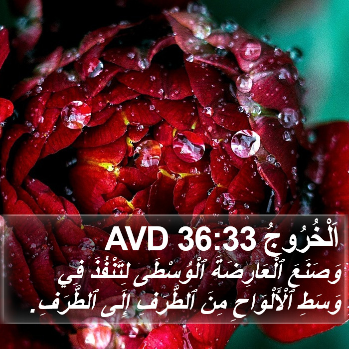 اَلْخُرُوجُ 36:33 AVD Bible Study