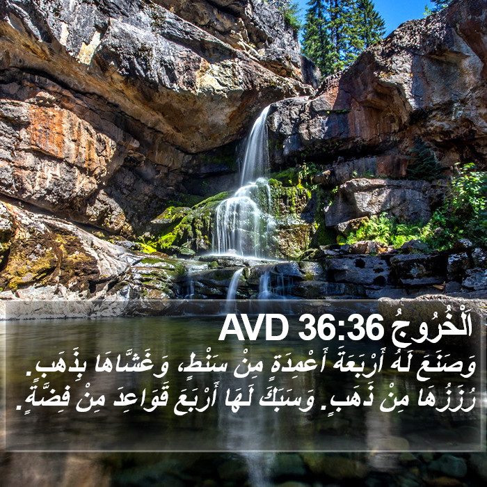 اَلْخُرُوجُ 36:36 AVD Bible Study