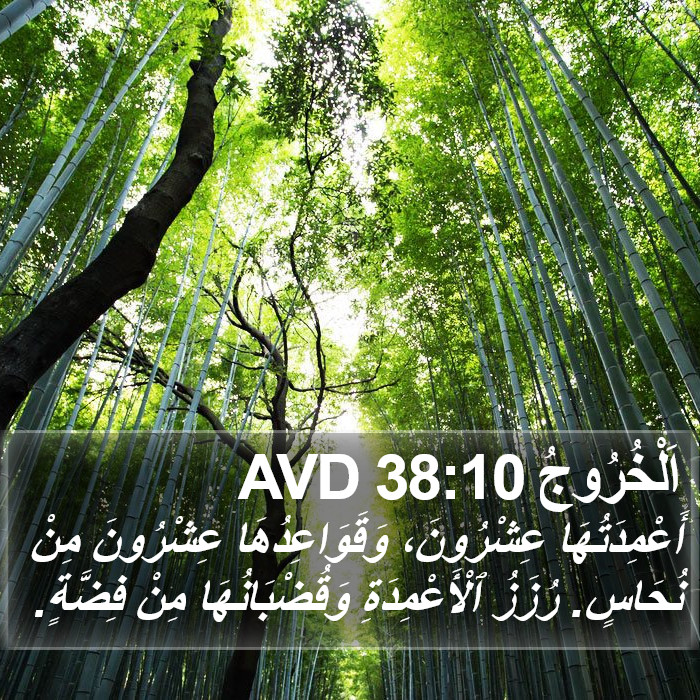 اَلْخُرُوجُ 38:10 AVD Bible Study