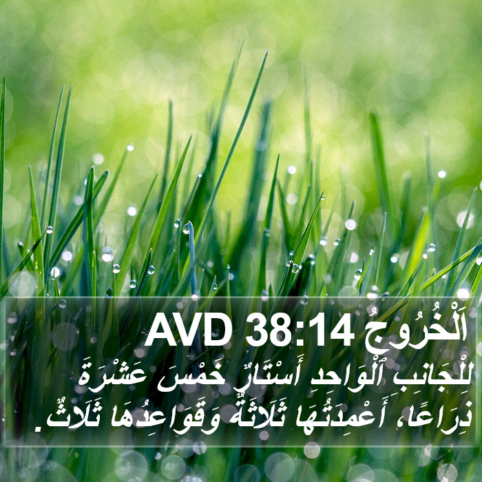 اَلْخُرُوجُ 38:14 AVD Bible Study