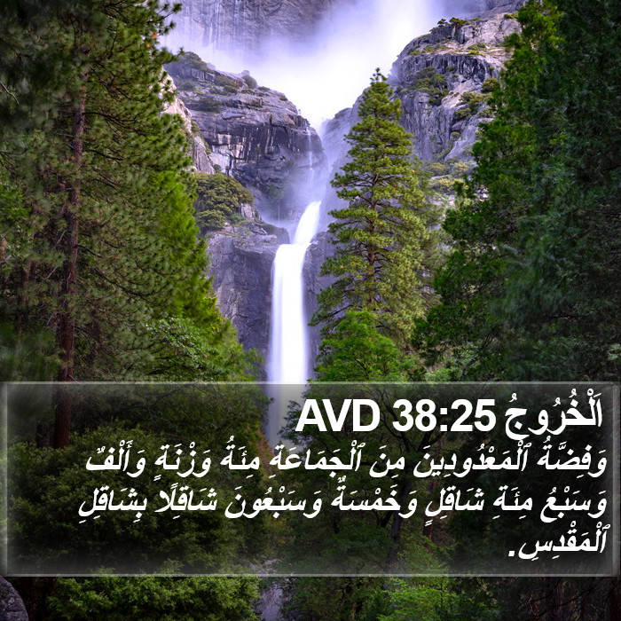 اَلْخُرُوجُ 38:25 AVD Bible Study