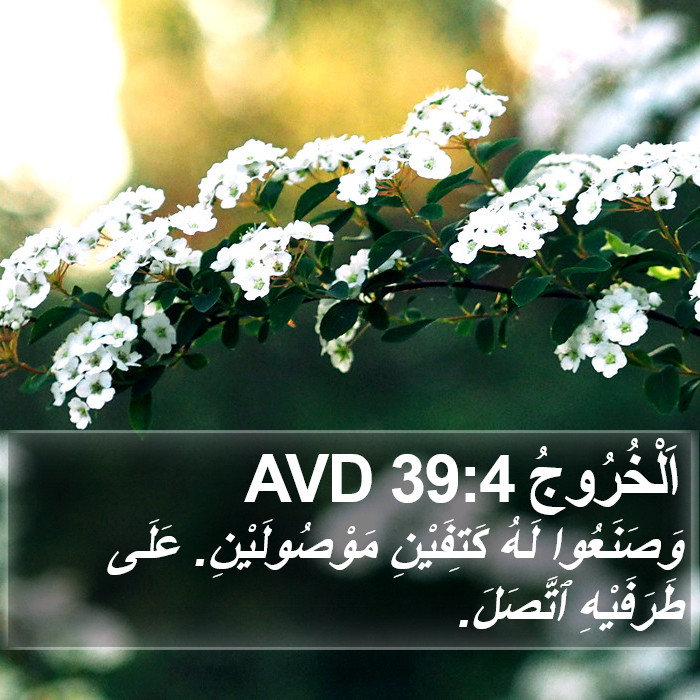 اَلْخُرُوجُ 39:4 AVD Bible Study