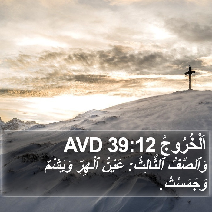 اَلْخُرُوجُ 39:12 AVD Bible Study