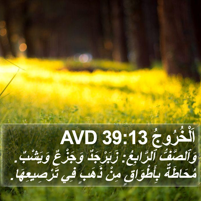اَلْخُرُوجُ 39:13 AVD Bible Study