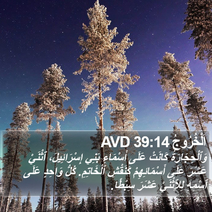 اَلْخُرُوجُ 39:14 AVD Bible Study