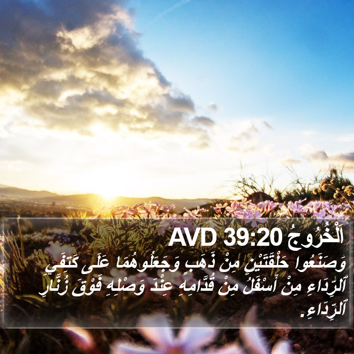 اَلْخُرُوجُ 39:20 AVD Bible Study