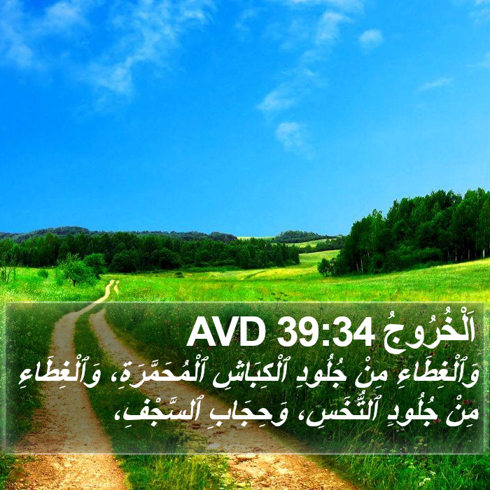 اَلْخُرُوجُ 39:34 AVD Bible Study