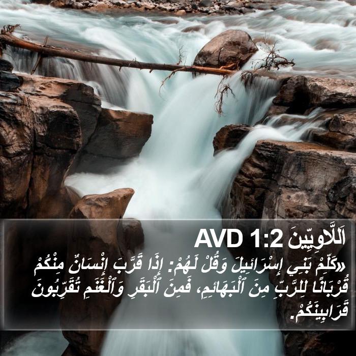 اَللَّاوِيِّينَ 1:2 AVD Bible Study