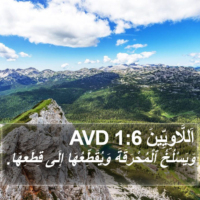 اَللَّاوِيِّينَ 1:6 AVD Bible Study