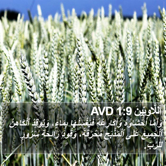 اَللَّاوِيِّينَ 1:9 AVD Bible Study