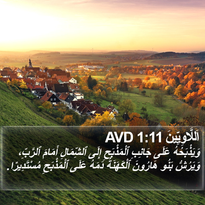 اَللَّاوِيِّينَ 1:11 AVD Bible Study