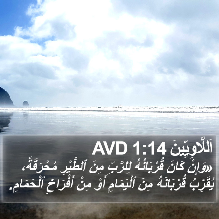 اَللَّاوِيِّينَ 1:14 AVD Bible Study