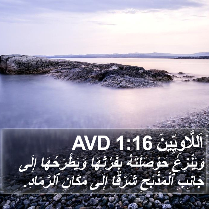 اَللَّاوِيِّينَ 1:16 AVD Bible Study