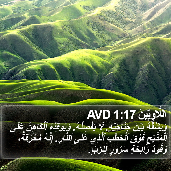 اَللَّاوِيِّينَ 1:17 AVD Bible Study