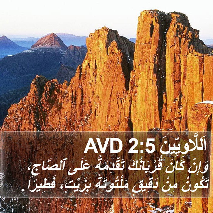 اَللَّاوِيِّينَ 2:5 AVD Bible Study