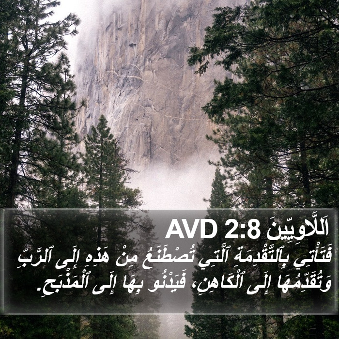 اَللَّاوِيِّينَ 2:8 AVD Bible Study