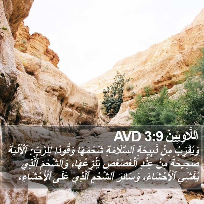 اَللَّاوِيِّينَ 3:9 AVD Bible Study