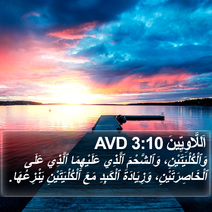 اَللَّاوِيِّينَ 3:10 AVD Bible Study