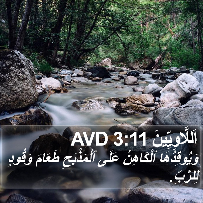 اَللَّاوِيِّينَ 3:11 AVD Bible Study