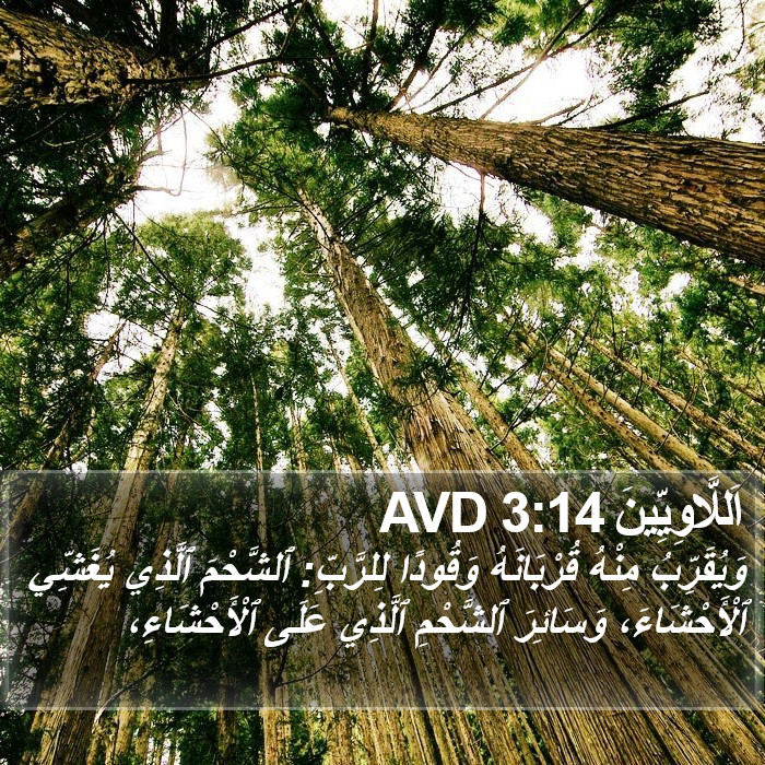 اَللَّاوِيِّينَ 3:14 AVD Bible Study