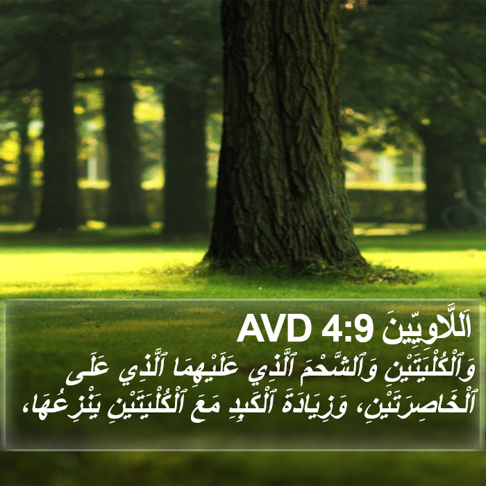 اَللَّاوِيِّينَ 4:9 AVD Bible Study