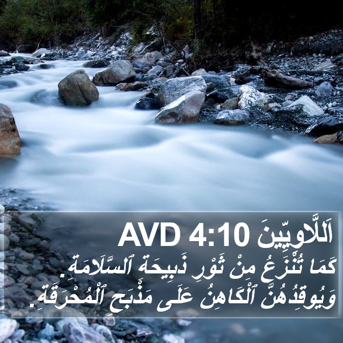 اَللَّاوِيِّينَ 4:10 AVD Bible Study