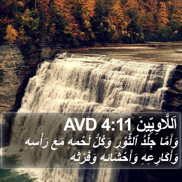 اَللَّاوِيِّينَ 4:11 AVD Bible Study