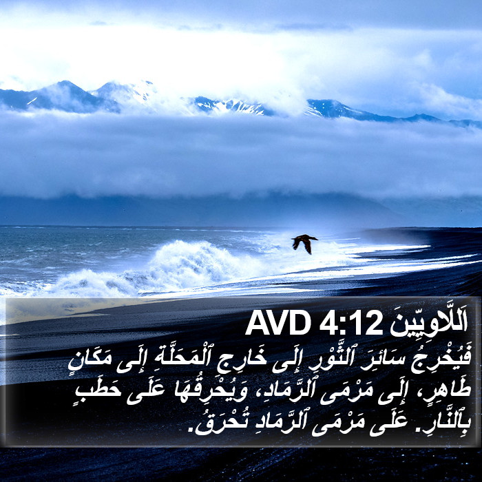 اَللَّاوِيِّينَ 4:12 AVD Bible Study